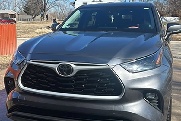Professional Auto Detailer