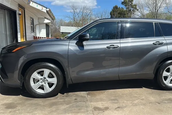 Professional Auto Detailer
