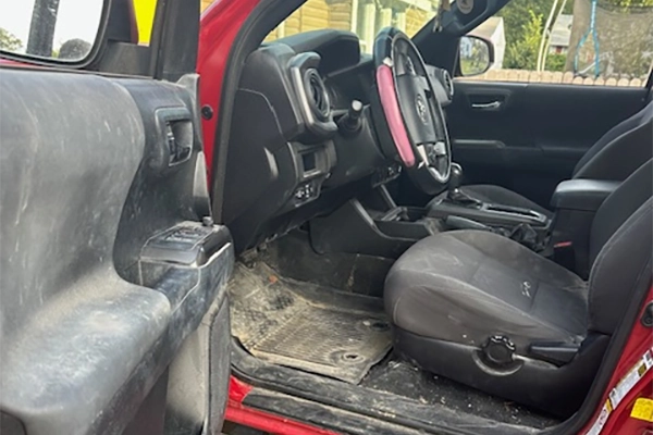 Professional Auto Detailer