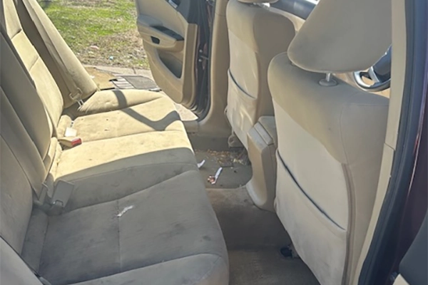 Professional Auto Detailer