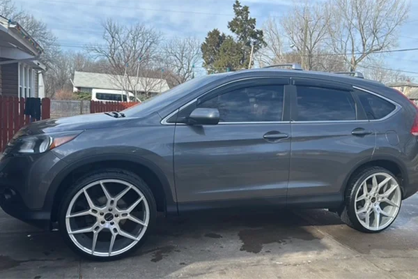 Professional Auto Detailer